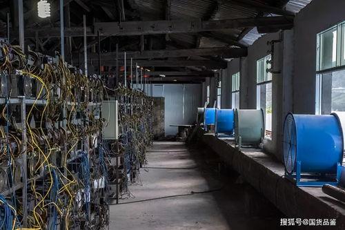 矿场爆料最新消息,揭秘行业动态与未来趋势